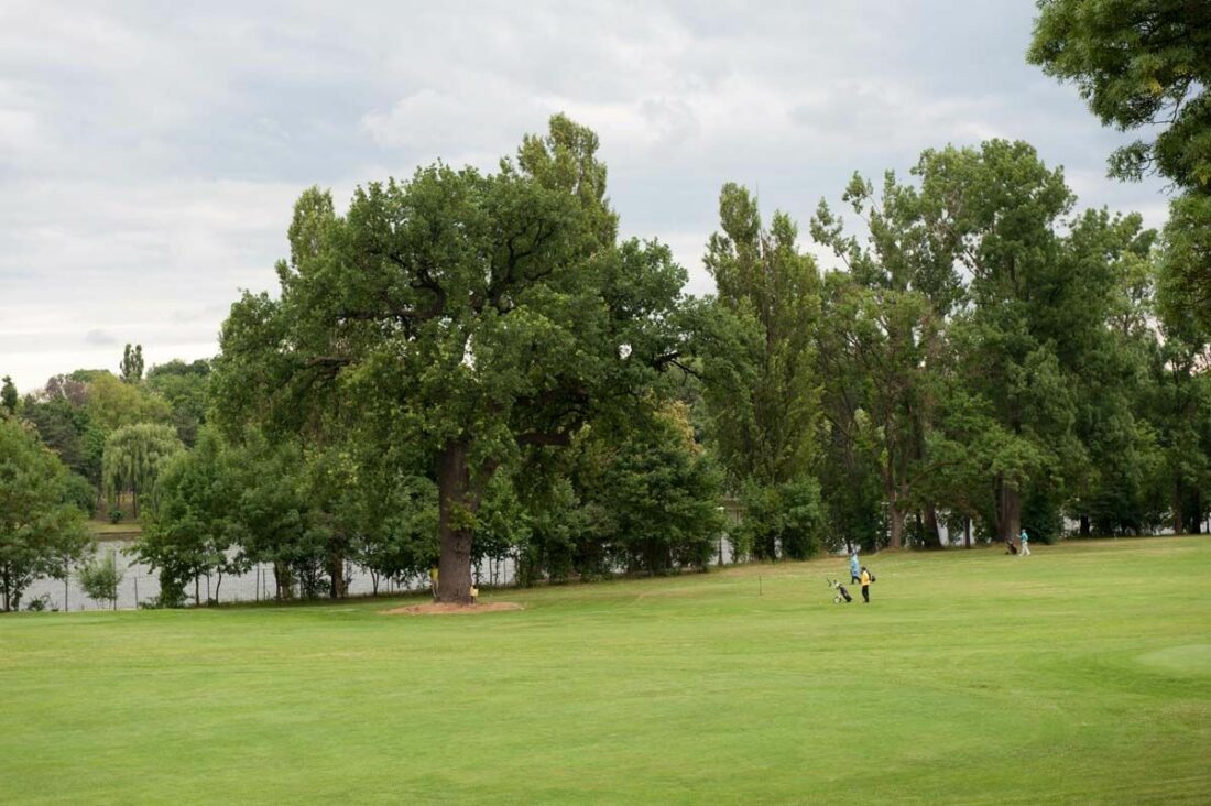 Golf- Clubul Diplomatic București
