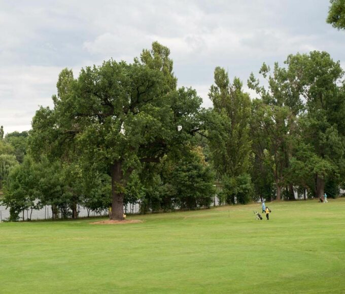 Golf- Clubul Diplomatic București