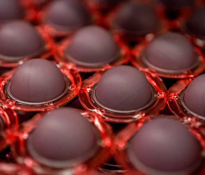 Casing Layer - Stratul de înveliș